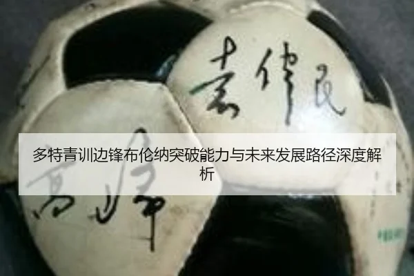 多特青训边锋布伦纳突破能力与未来发展路径深度解析