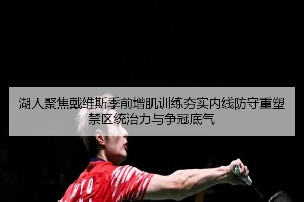 湖人聚焦戴维斯季前增肌训练夯实内线防守重塑禁区统治力与争冠底气