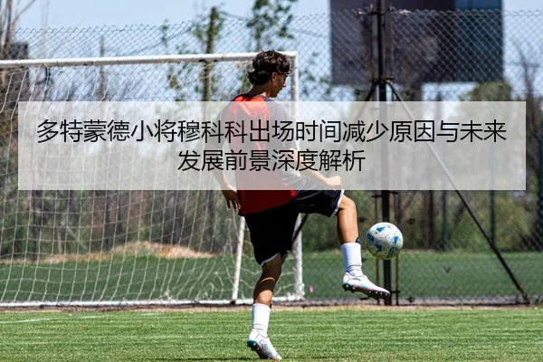 多特蒙德小将穆科科出场时间减少原因与未来发展前景深度解析
